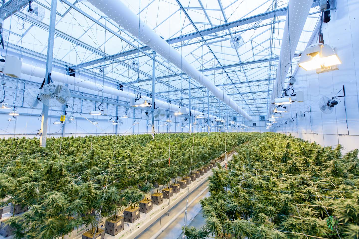 Foodtech - Invest in Norrbotten