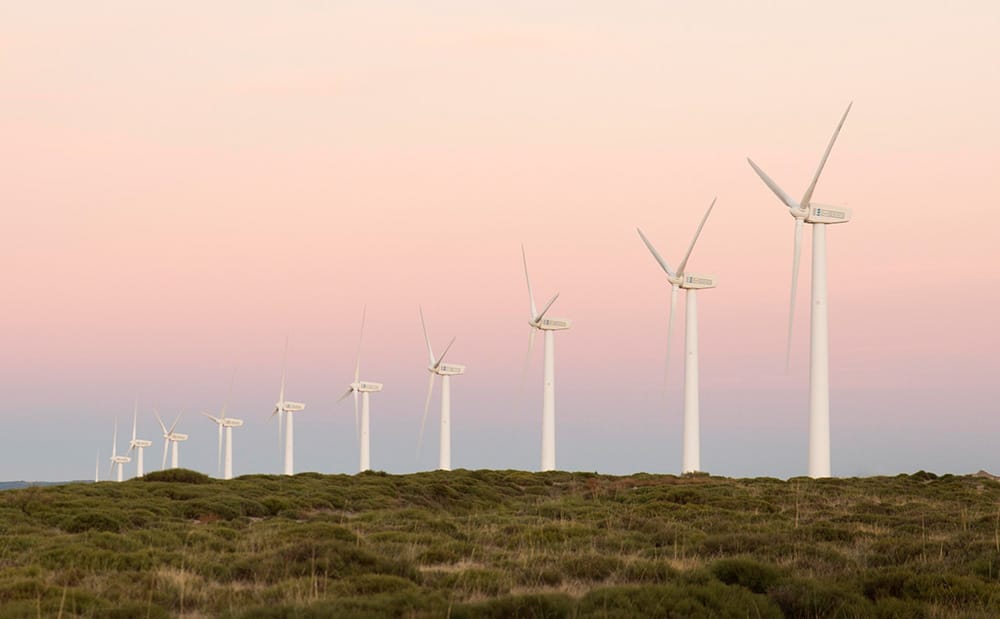 Wind farm on fields